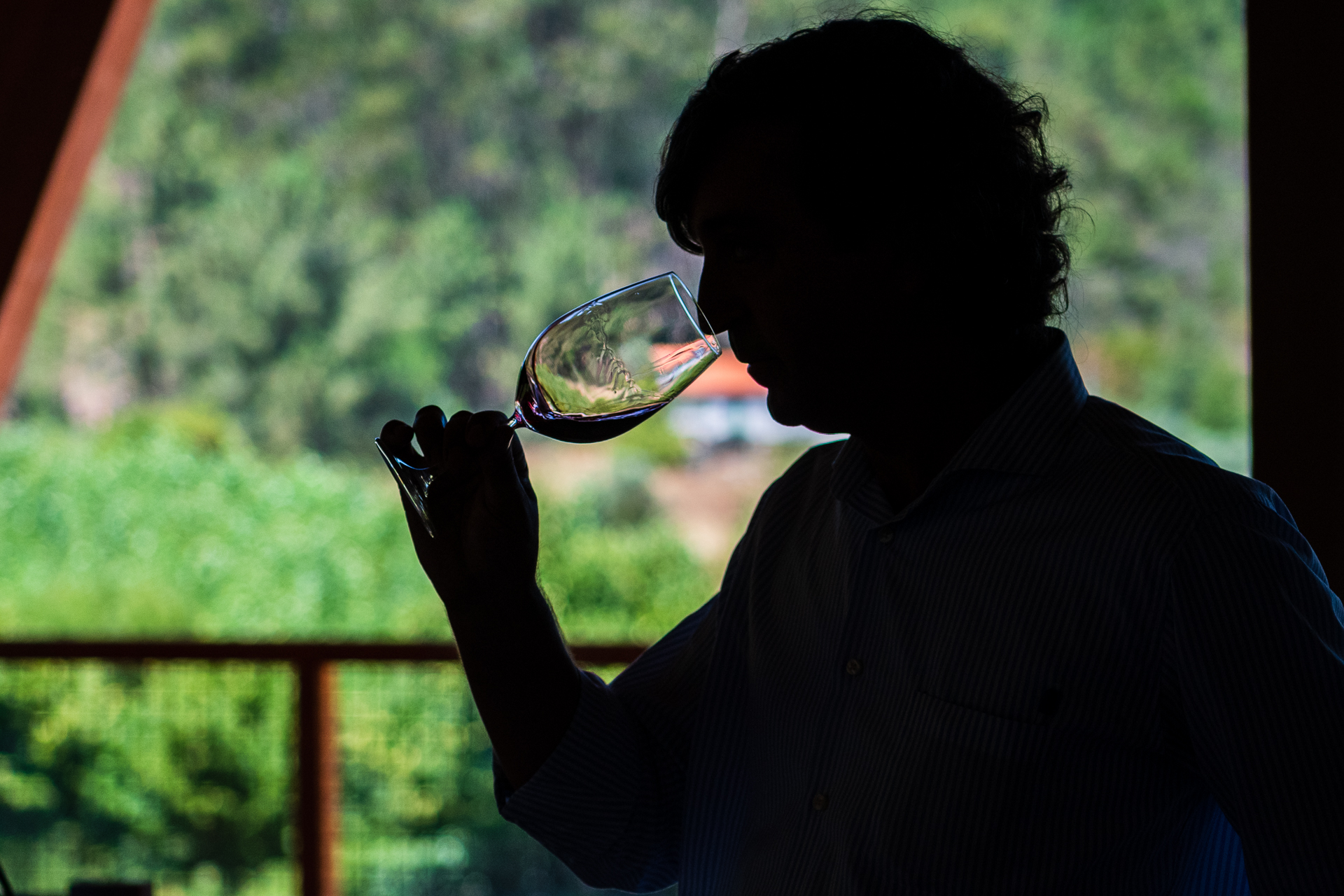 Homem faz degustação de vinhos (vinho genérica) enólogo