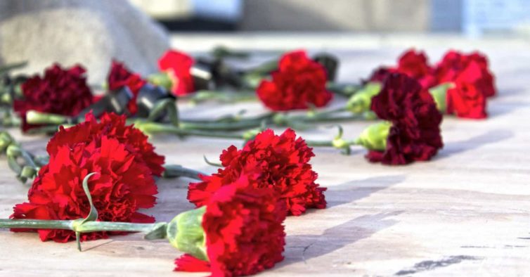  25 de Abril: Câmara de Viseu adia eventos que implicam “extroversão” e mantém cerimónias protocolares - Jornal do Centro