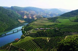 regiao_do_douro_sul_1