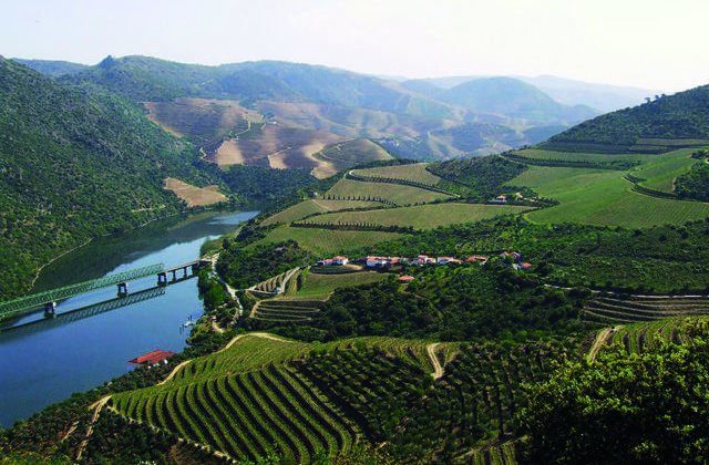  Campanha “Que Douro és tu?” revela destino turístico para “todos os gostos”