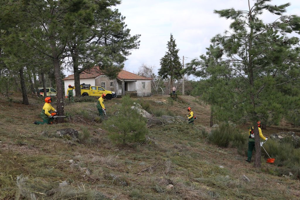  Mais de 150 freguesias da região são prioritárias na limpeza dos terrenos - Jornal do Centro