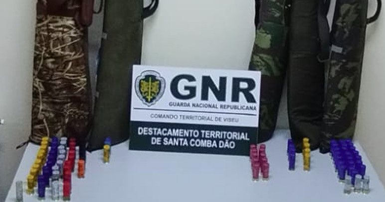  Homens apanhados a caçar perto de fábrica em Carregal do Sal - Jornal do Centro