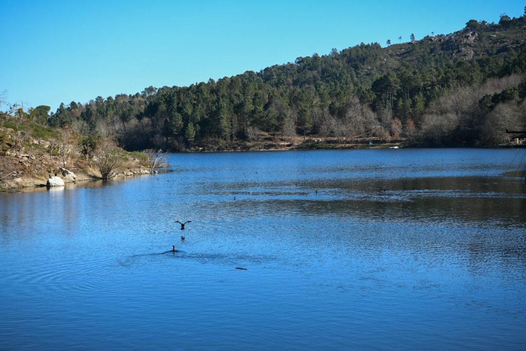  Autarquias da região insistem na construção da nova barragem de Fagilde - Jornal do Centro