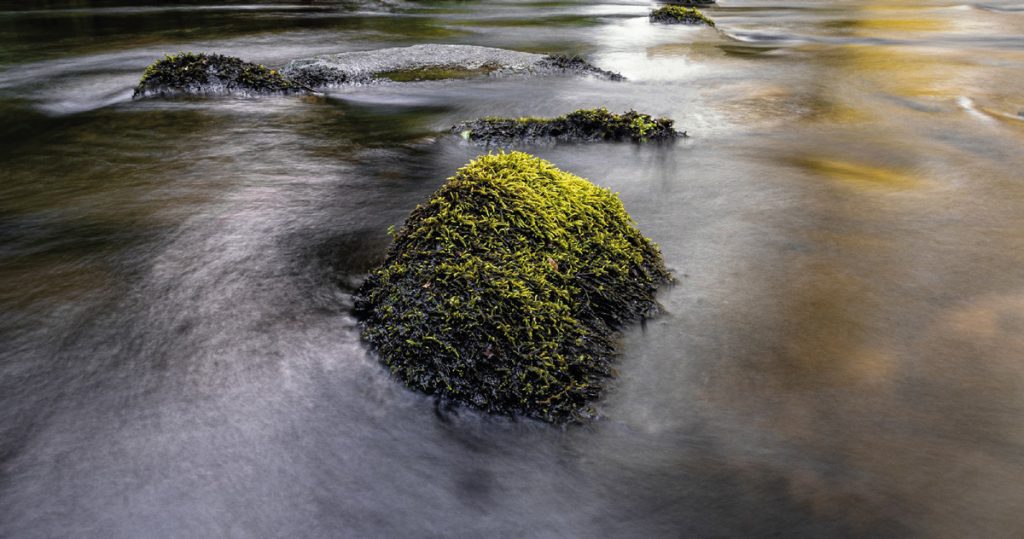  Alunos de Vouzela desafiados a fotografar e pintar a natureza - Jornal do Centro