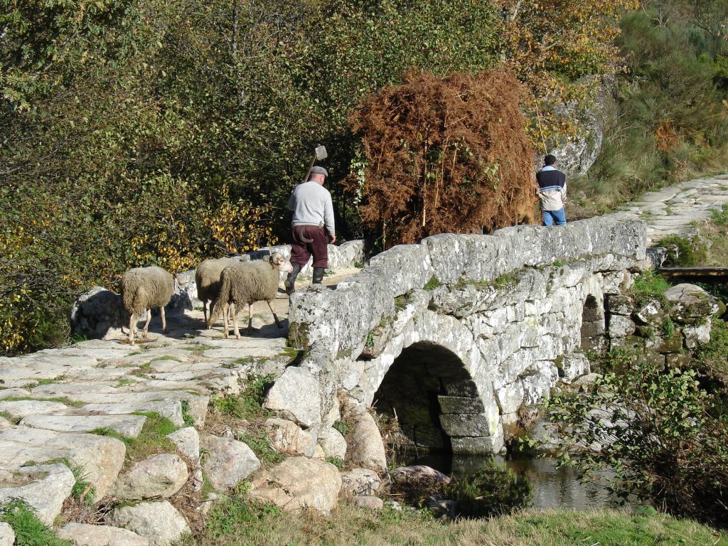  Rota do Românico: uma viagem inspiradora a lugares com História - Jornal do Centro