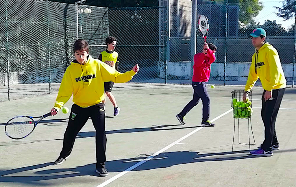  Ténis: CD Tondela preparado para o regresso da atividade presencial - Jornal do Centro