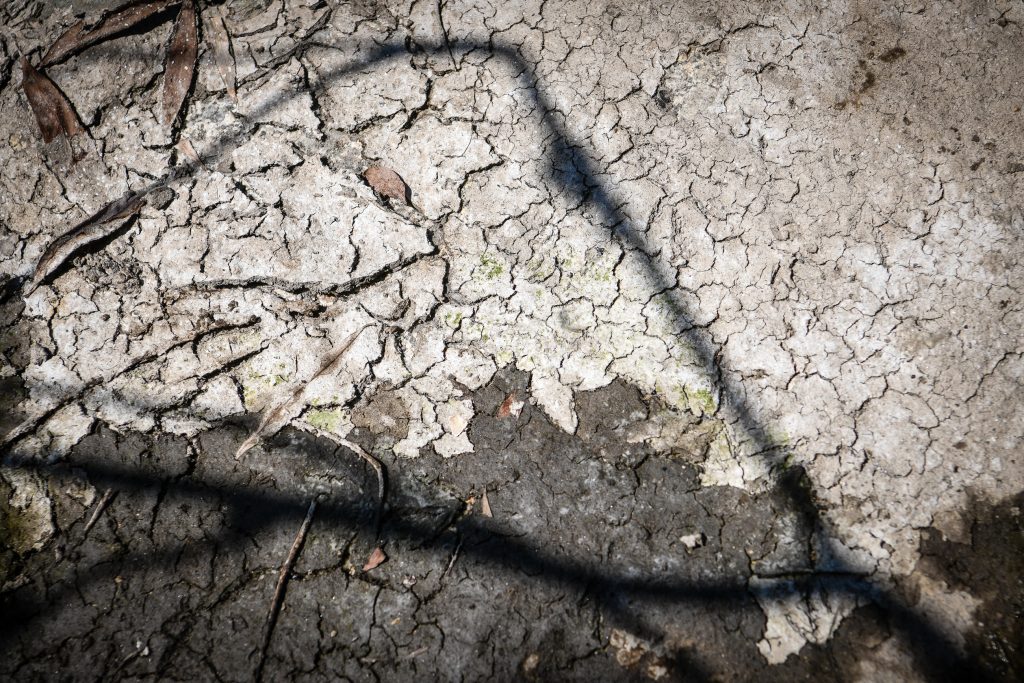  Seca agravou-se na região de Viseu no mês de abril - Jornal do Centro