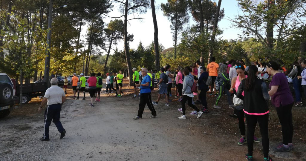  Caminhada pela Rota do Míscaro em Sátão - Jornal do Centro