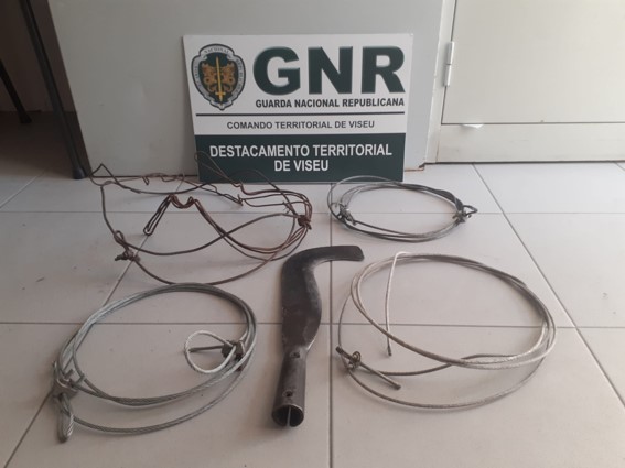  Idoso detido pela GNR enquanto caçava javali com laço - Jornal do Centro