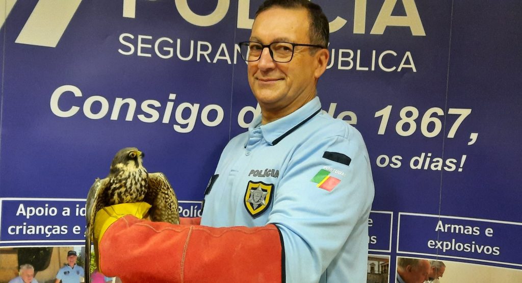  Polícias resgatam falcão encontrado junto ao Forum Viseu - Jornal do Centro