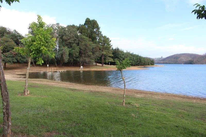  Praia fluvial de Santa Comba Dão tem ‘qualidade de ouro’ pelo quinto ano - Jornal do Centro