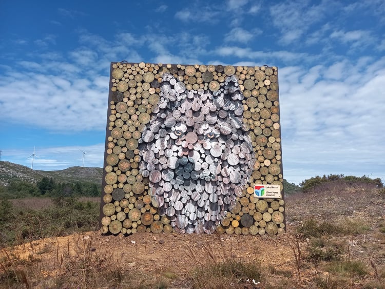  Animais inspiram obras de artes colocadas na serra da Arada - Jornal do Centro