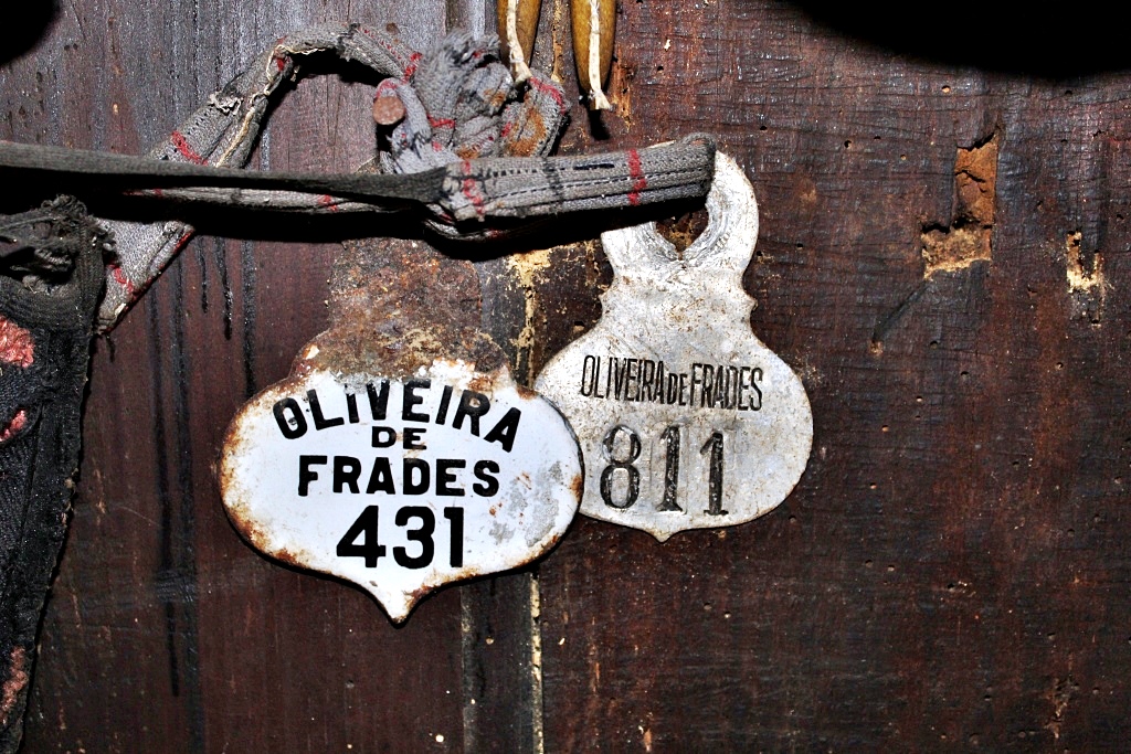  Exposição dedicada a Oliveira de Frades a partir desta quarta-feira - Jornal do Centro