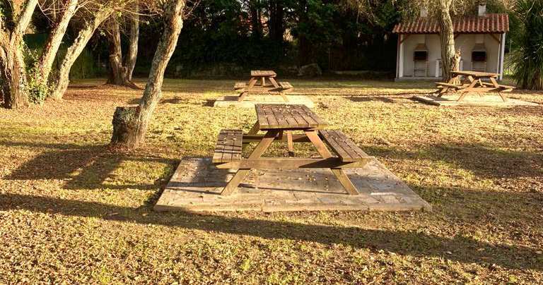  Carregal do Sal: Requalificação de parque e terapia assistida vencem orçamento participativo - Jornal do Centro