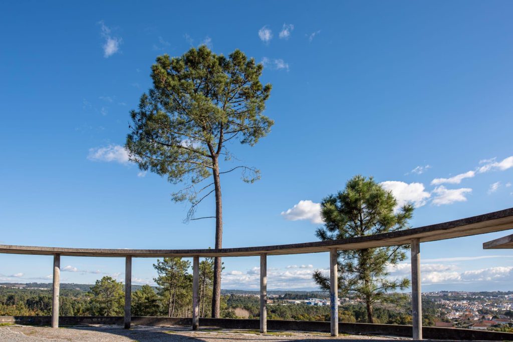  Viseu: sabores de Campo de Madalena celebrados no próximo domingo - Jornal do Centro