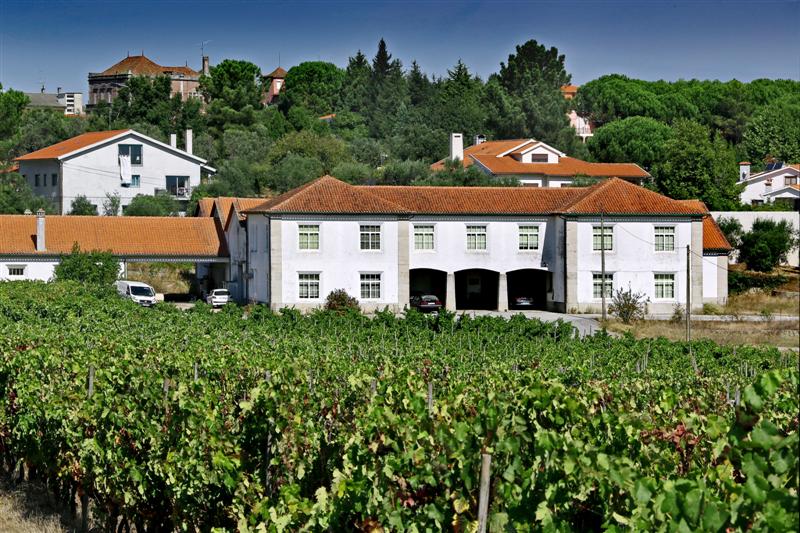  Nelas recebe curso de identificação de castas de vinho do Dão - Jornal do Centro