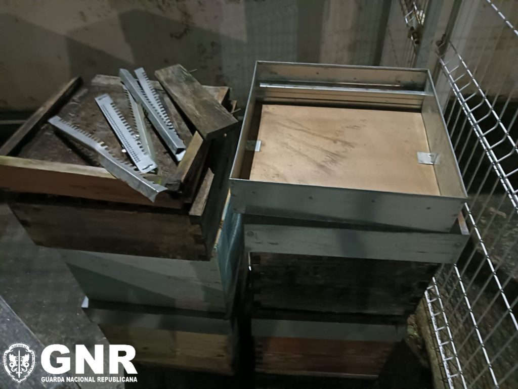  Homem apanhado pela GNR a roubar colmeias