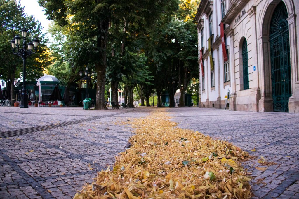  Dia começa nublado, mas IPMA prevê final de tarde limpa - Jornal do Centro