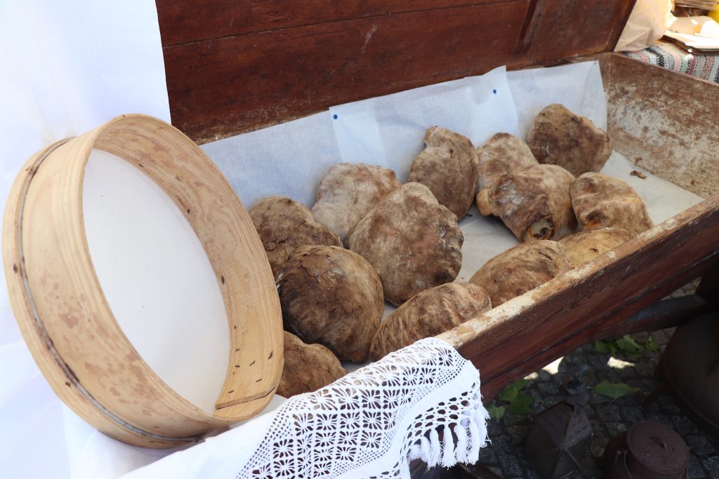  Há pão para provar e folclore para ouvir este fim de semana em V. N. Paiva - Jornal do Centro