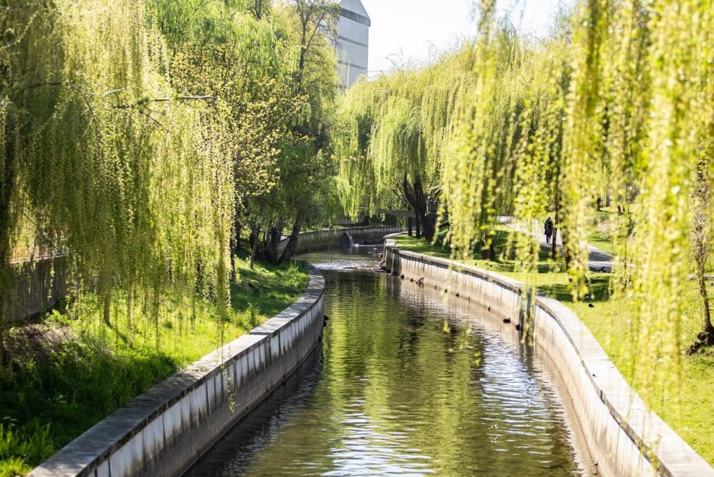  Viseu: Parque Linear do Rio Pavia recebe festival inédito - Jornal do Centro