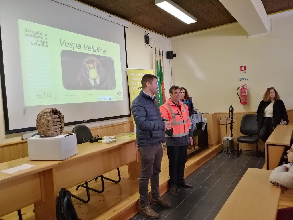  Crianças aprendem a lidar com as ameaças da vespa asiática - Jornal do Centro