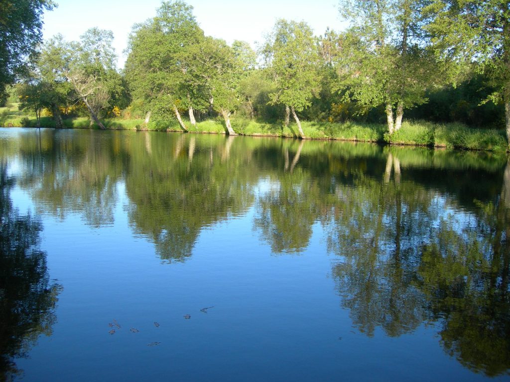  Quinta da Azenha em Vila Nova de Paiva com parque ecológico - Jornal do Centro