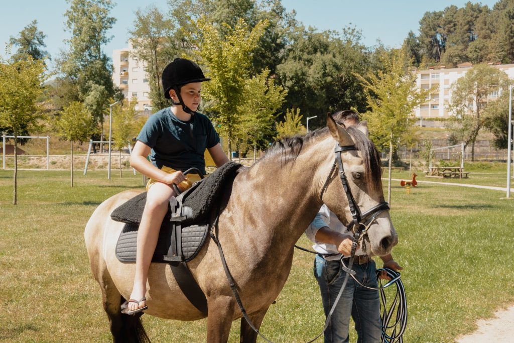  Parque em Tarouca oferece passeios a cavalo - Jornal do Centro