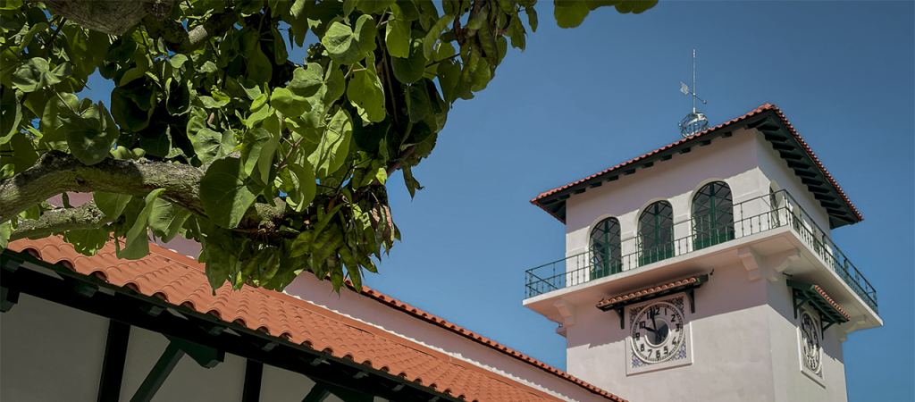  Museu dedicado à mulher do Douro e mercado local inaugurados em Armamar - Jornal do Centro