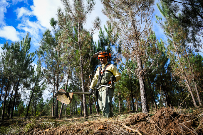  Vila Nova de Paiva recebe Encontro Nacional de Sapadores Florestais - Jornal do Centro