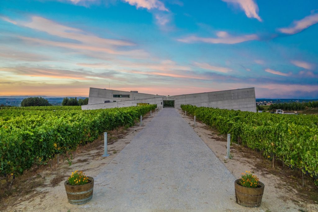  Há pataniscas, bacalhau e arroz de pato para provar em Nelas - Jornal do Centro