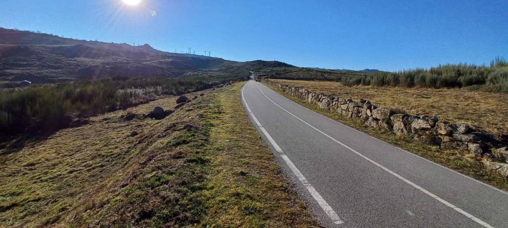  Sapadores de Cinfães limpam estradas do concelho - Jornal do Centro