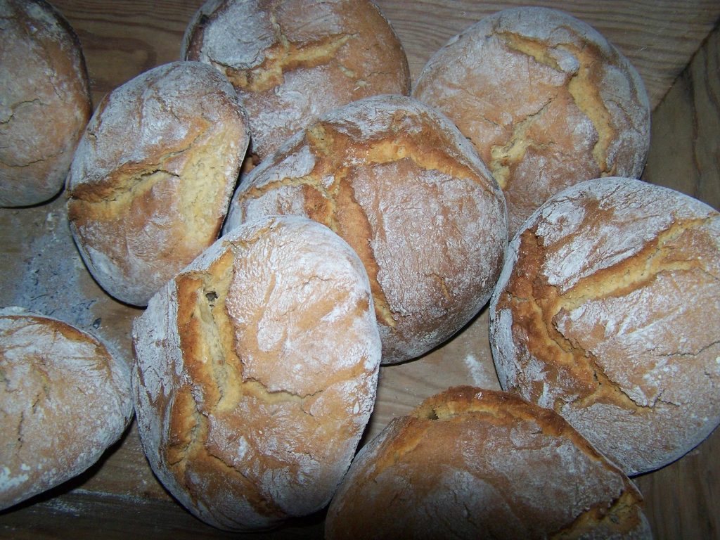  Broinhas para provar durante três dias em Santa Comba Dão - Jornal do Centro