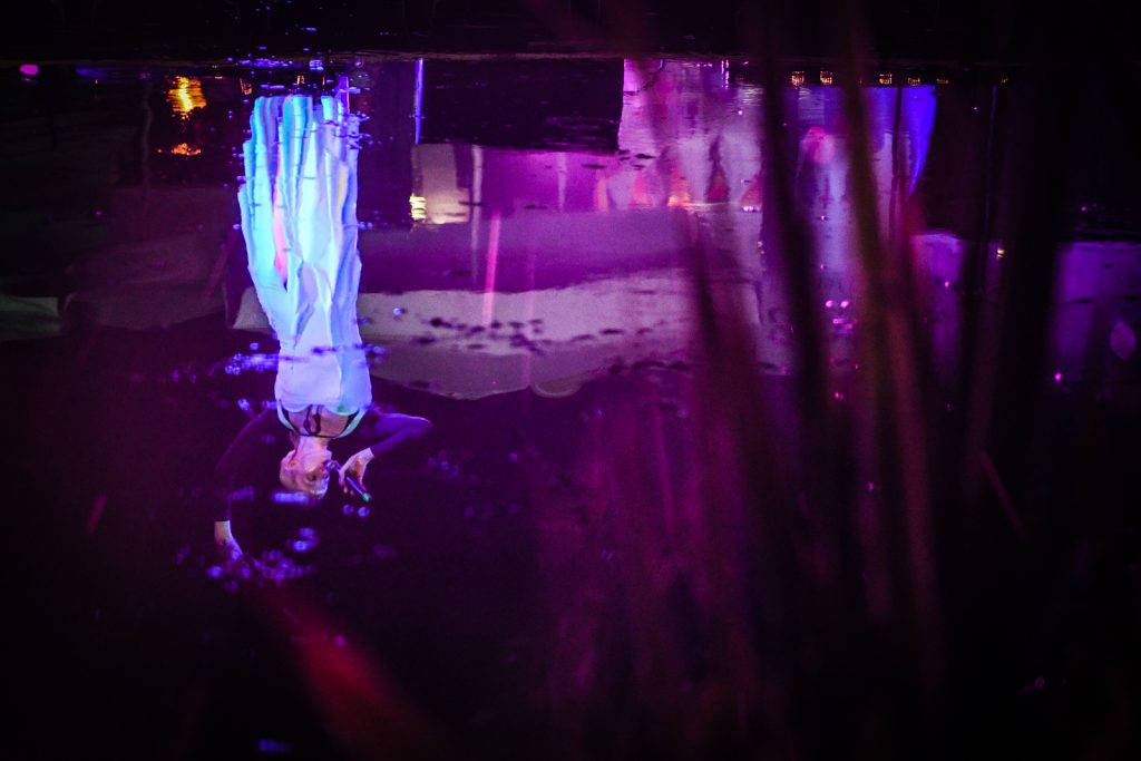  Artisticamente esta foi a melhor edição dos Jardins Efémeros, diz diretora artística - Jornal do Centro