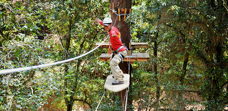  Parque de Geo-Aventura em construção na freguesia de Côta - Jornal do Centro