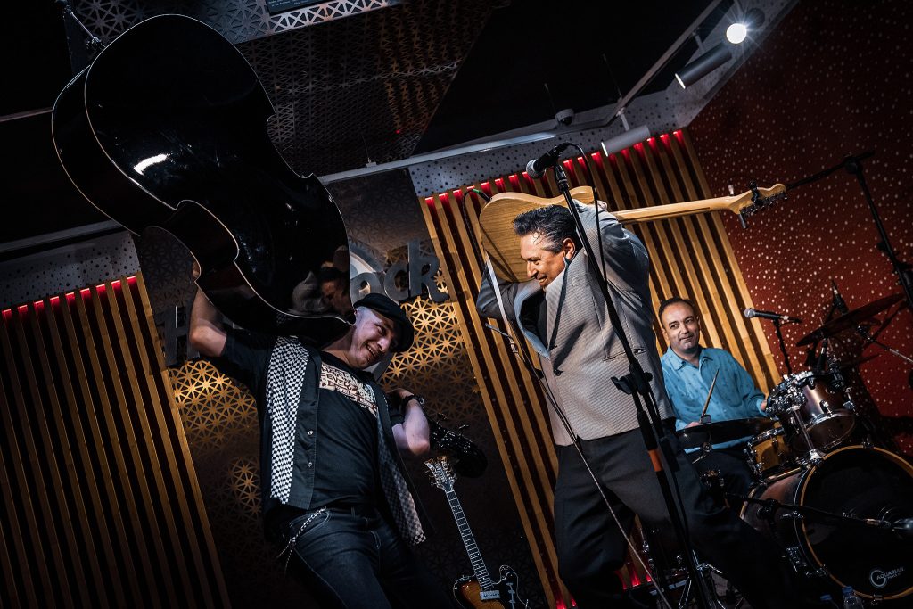  Fora do Rebanho organiza noite de punk e rock’n’roll em Viseu - Jornal do Centro