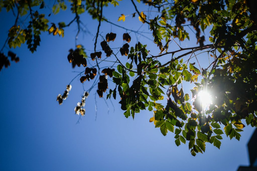  Viseu com mais um dia de sol antes do regresso da chuva - Jornal do Centro