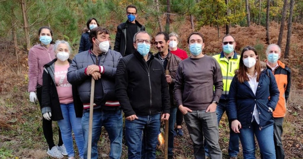  Hotel de Viseu plantou 60 carvalhos para compensar pegada ecológica - Jornal do Centro