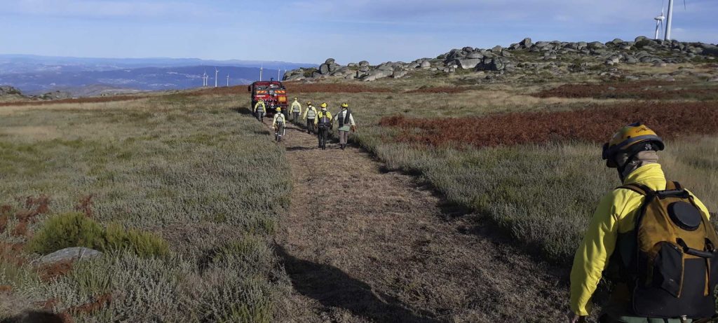  Sapadores florestais recebem novo apoio em Cinfães - Jornal do Centro