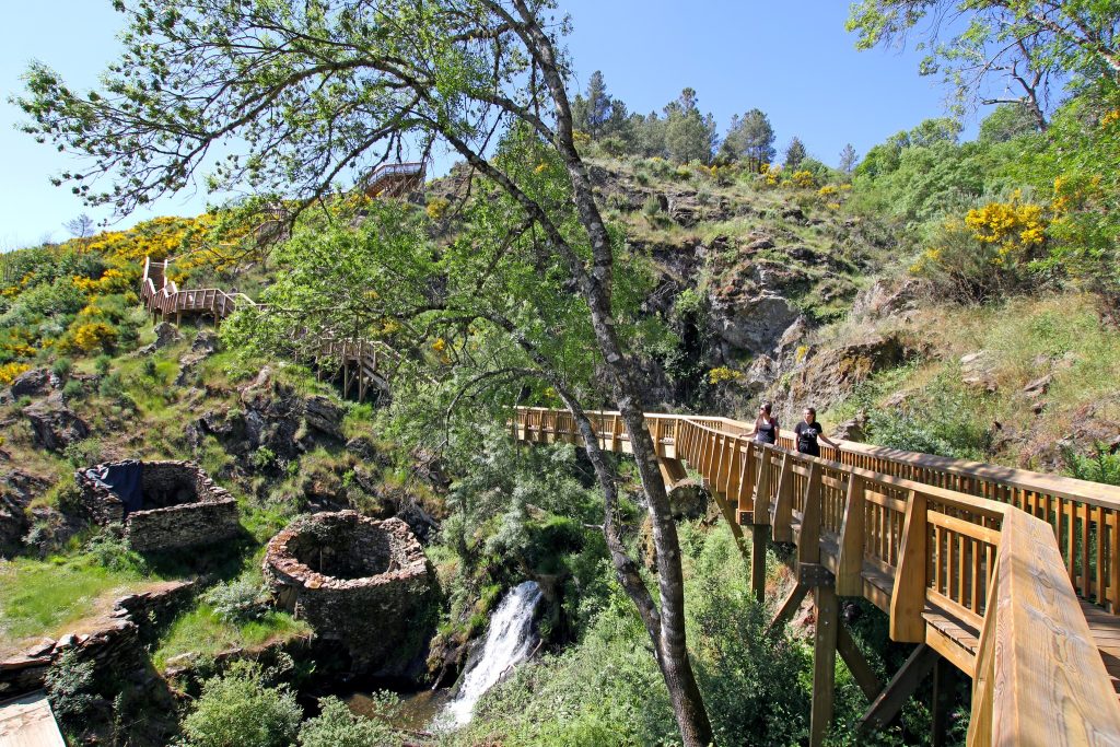  Passadiços do Mondego premiados nos ”Óscares do turismo” - Jornal do Centro