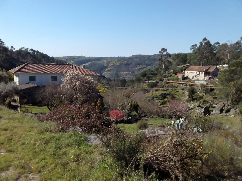  Nelas junta-se à Rota dos Moinhos de Portugal - Jornal do Centro