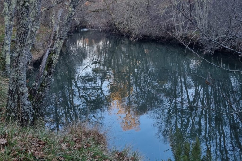  V. N. Paiva: GNR confirma denúncias e autos de contraordenação por descargas poluentes no Rio Paiva - Jornal do Centro