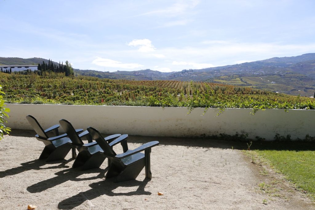  Quinta da Pacheca apresenta um novo vinho ‘vintage’ - Jornal do Centro