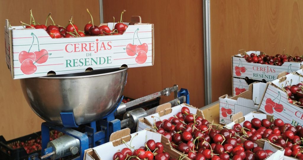  Quer ir a Resende? Há Festival da Cereja este fim de semana - Jornal do Centro