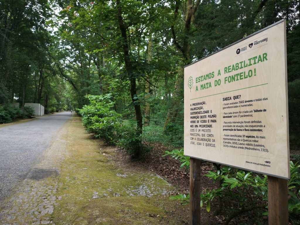  Viseu: Parques verdes da cidade reabertos depois do mau tempo - Jornal do Centro
