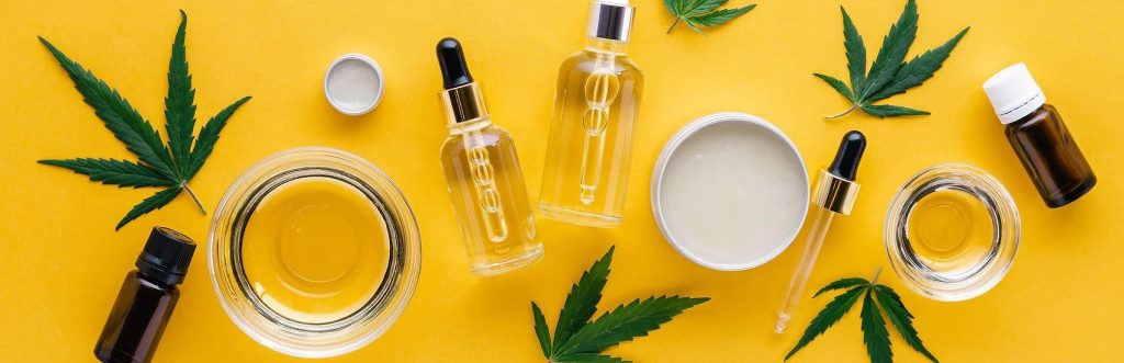  Fábrica de canábis vai abrir em São Pedro do Sul - Jornal do Centro