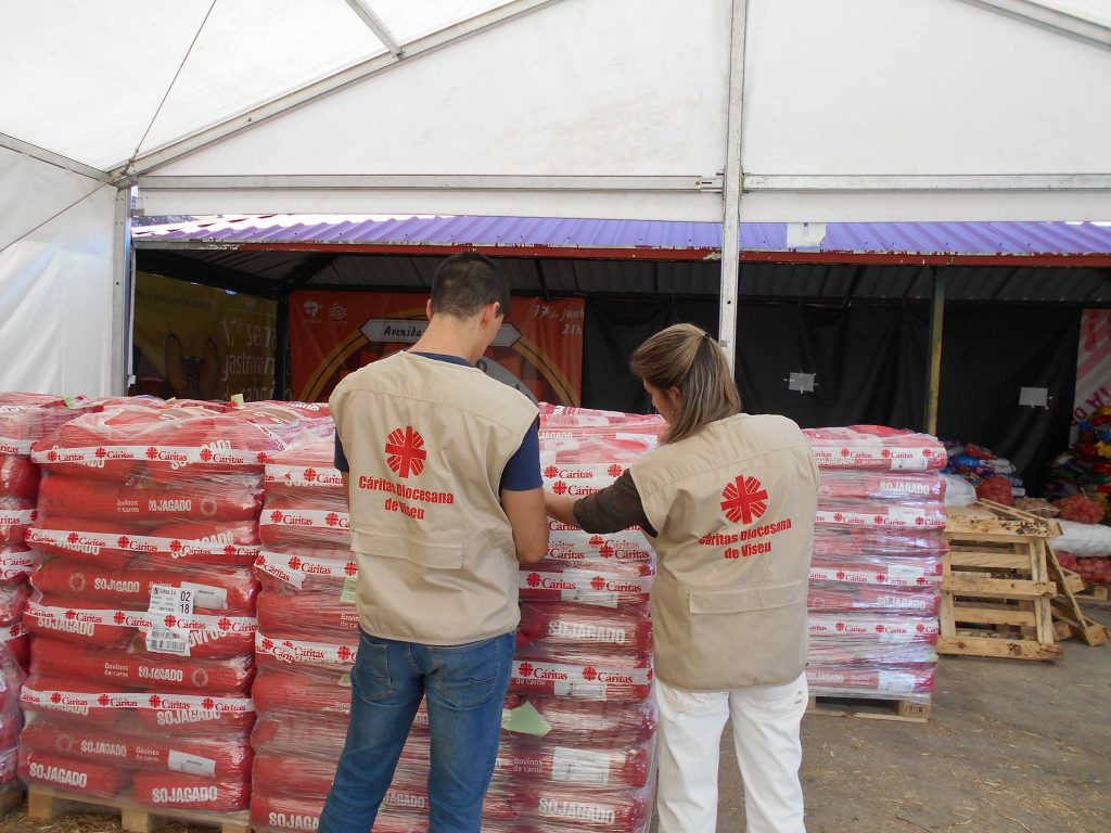  Empresa de Viseu recolhe alimentos e outros bens em campanha solidária - Jornal do Centro