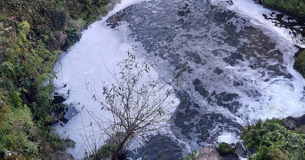  Descargas poluentes preocupam moradores e autarquia de Carregal do Sal - Jornal do Centro