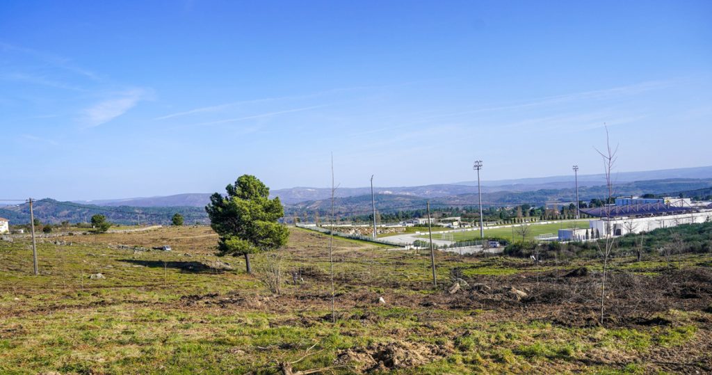  Mais de 250 árvores plantadas em novo parque de Moimenta da Beira - Jornal do Centro