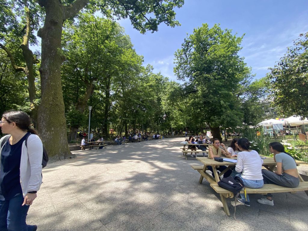  Viseu: Parque Aquilino Ribeiro encerra ”Verão no Parque” esta semana - Jornal do Centro