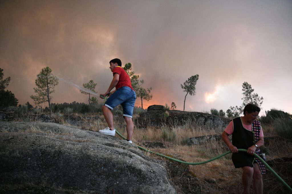  Mais de metade da região de Viseu em risco muito elevado de incêndio - Jornal do Centro